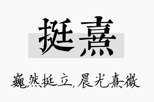 挺熹名字的寓意及含义