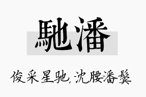 驰潘名字的寓意及含义