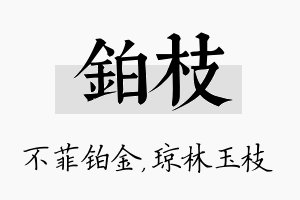 铂枝名字的寓意及含义