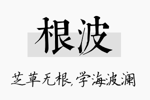 根波名字的寓意及含义