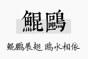 鲲鸥名字的寓意及含义