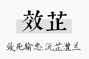 效芷名字的寓意及含义