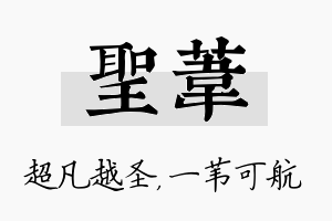 圣苇名字的寓意及含义