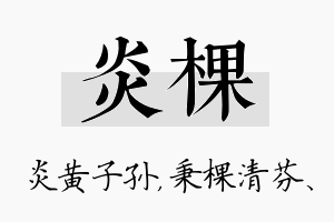 炎棵名字的寓意及含义