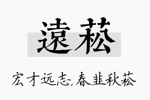 远菘名字的寓意及含义