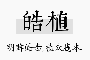 皓植名字的寓意及含义