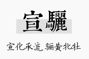 宣骊名字的寓意及含义