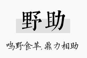 野助名字的寓意及含义