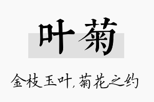 叶菊名字的寓意及含义