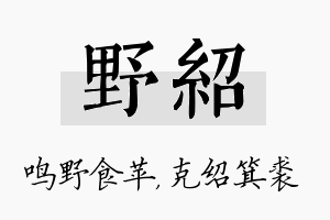 野绍名字的寓意及含义