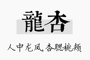 龙杏名字的寓意及含义