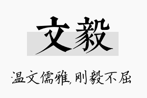 文毅名字的寓意及含义