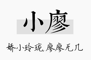 小廖名字的寓意及含义