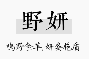 野妍名字的寓意及含义