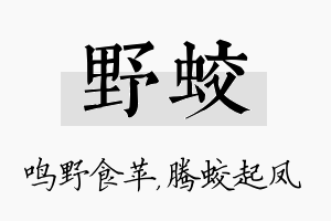 野蛟名字的寓意及含义