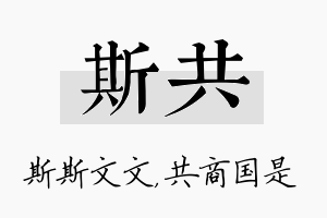 斯共名字的寓意及含义