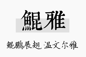 鲲雅名字的寓意及含义