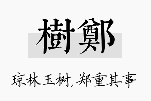 树郑名字的寓意及含义