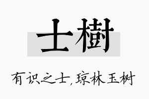 士树名字的寓意及含义