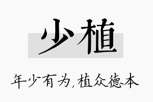 少植名字的寓意及含义