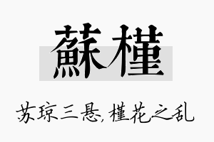 苏槿名字的寓意及含义