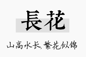 长花名字的寓意及含义