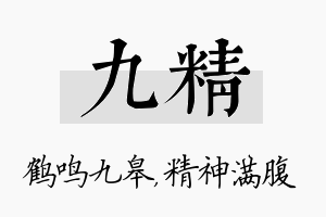 九精名字的寓意及含义