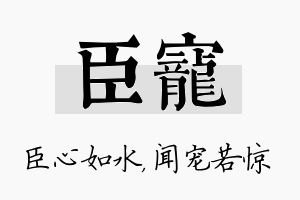 臣宠名字的寓意及含义