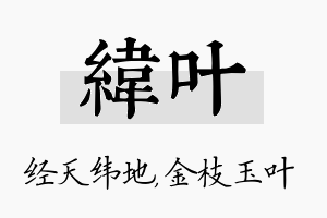 纬叶名字的寓意及含义