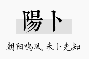 阳卜名字的寓意及含义