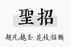 圣招名字的寓意及含义