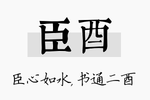 臣酉名字的寓意及含义