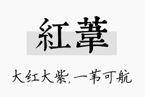 红苇名字的寓意及含义