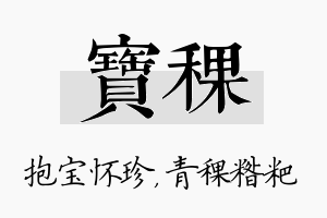 宝稞名字的寓意及含义