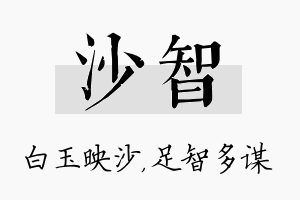 沙智名字的寓意及含义