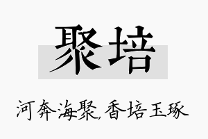 聚培名字的寓意及含义