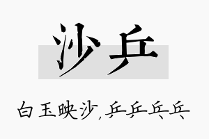 沙乒名字的寓意及含义