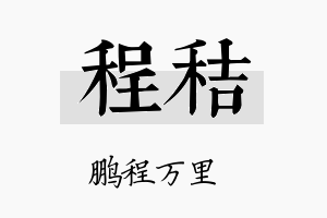 程秸名字的寓意及含义