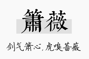 箫薇名字的寓意及含义