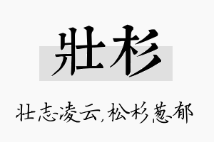 壮杉名字的寓意及含义