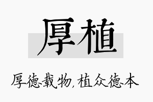 厚植名字的寓意及含义