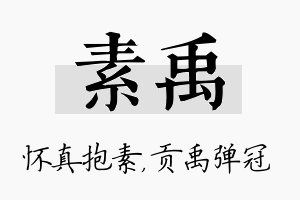 素禹名字的寓意及含义