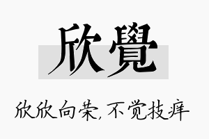 欣觉名字的寓意及含义