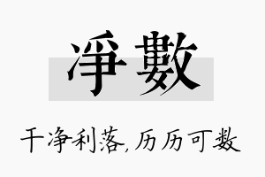 净数名字的寓意及含义