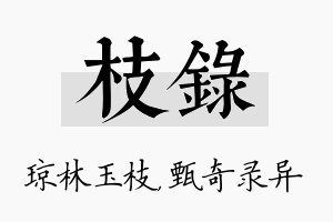 枝录名字的寓意及含义