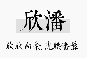 欣潘名字的寓意及含义