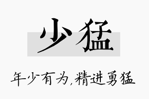 少猛名字的寓意及含义