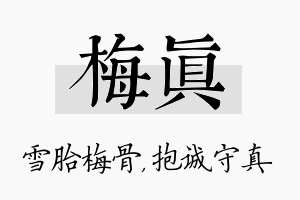 梅真名字的寓意及含义