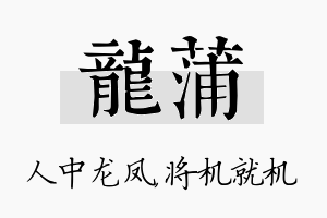 龙蒲名字的寓意及含义