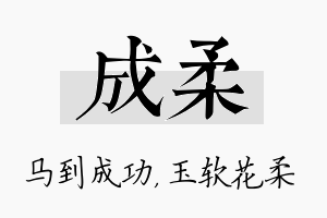 成柔名字的寓意及含义